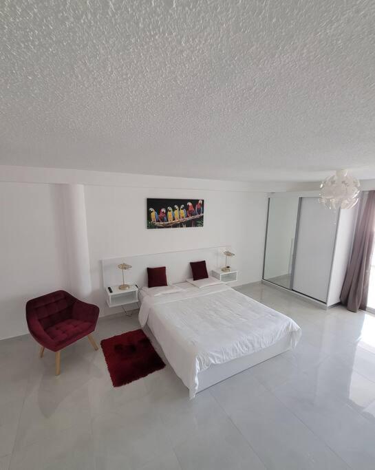 Hello Guyane, Suite Collection Cayenne Dış mekan fotoğraf