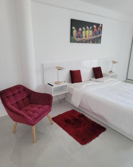 Hello Guyane, Suite Collection Cayenne Dış mekan fotoğraf
